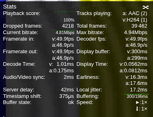 webcodec stats shown